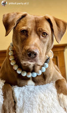 Load image into Gallery viewer, Sky Blue Resin Bead Collar