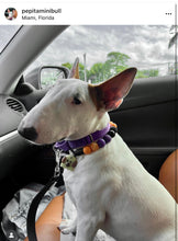 Load image into Gallery viewer, Witching Hour Halloween Bead Collar