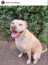 Load image into Gallery viewer, Pastel Rainbow Acrylic Bead Collar