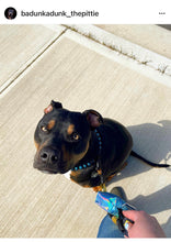 Load image into Gallery viewer, Blue Spark Bead Collar