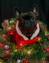 Load image into Gallery viewer, Christmas Frost Bead Collar