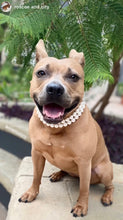 Load image into Gallery viewer, Duplo Mini White Pearl Acrylic Bead Collar