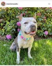 Load image into Gallery viewer, Unicorn Glam 🦄 Bead Collar