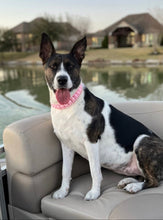 Load image into Gallery viewer, Blush Pink Rain Triplo Acrylic Bead Collar