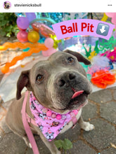 Load image into Gallery viewer, Pink Sugar Bead Collar