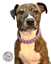 Load image into Gallery viewer, Purple Rain Triplo Acrylic Bead Collar