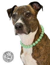 Load image into Gallery viewer, Minty Sage Acrylic Bead Collar - SALE