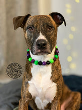 Load image into Gallery viewer, Monster Bash Bead Collar