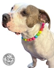 Load image into Gallery viewer, Neon Rainbow š Bead Collar