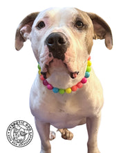 Load image into Gallery viewer, Neon Rainbow š Bead Collar