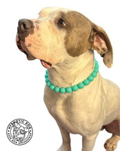 Load image into Gallery viewer, Neon Turquoise Acrylic Bead Collar