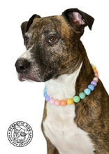 Load image into Gallery viewer, Pastel Rainbow Acrylic Bead Collar