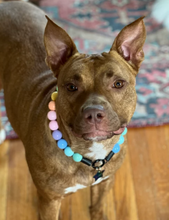 Load image into Gallery viewer, Pastel Rainbow Acrylic Bead Collar