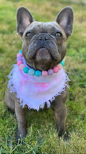 Load image into Gallery viewer, Unicorn Glam 🦄 Bead Collar