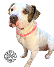 Load image into Gallery viewer, Pink Clouds Acrylic Bead Collar