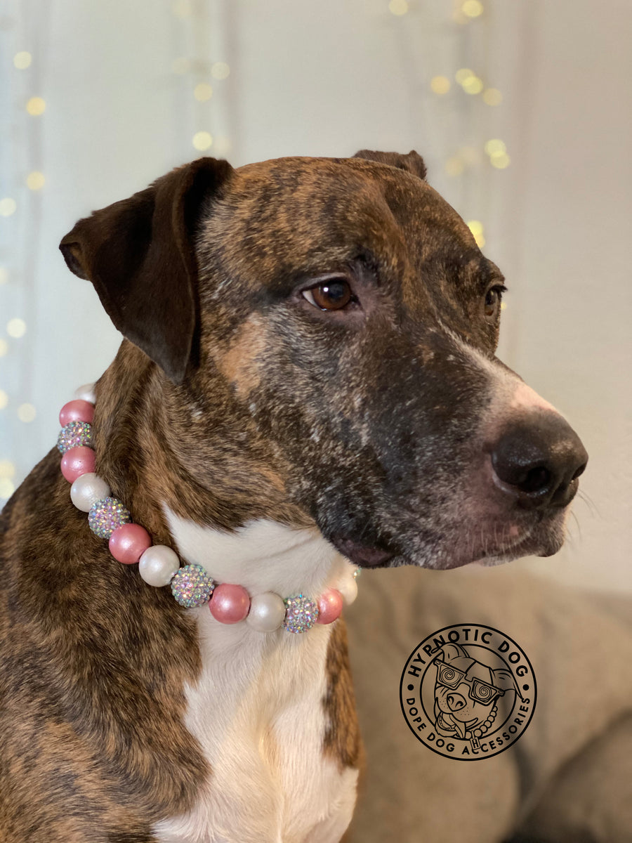 Pink Sugar Bead Collar – Hypnotic Dog