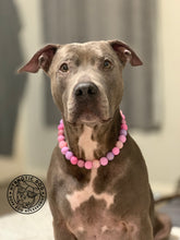 Load image into Gallery viewer, Pink Sugar Bead Collar