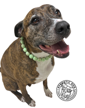 Load image into Gallery viewer, Pistachio Green Resin Bead Collar