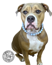 Load image into Gallery viewer, Sky Blue Resin Bead Collar