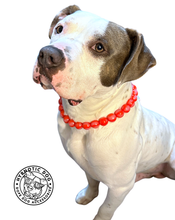 Load image into Gallery viewer, Strawberry Resin Bead Collar