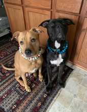 Load image into Gallery viewer, Sugar & Spice Bead Collar