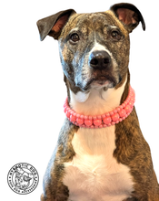 Load image into Gallery viewer, Watermelon Pink Triplo Acrylic Bead Collar