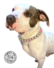 Load image into Gallery viewer, Watermelon Resin Bead Collar