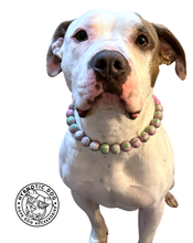 Load image into Gallery viewer, Watermelon Resin Bead Collar