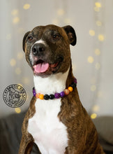 Load image into Gallery viewer, Witching Hour Halloween Bead Collar