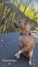 Load image into Gallery viewer, 🏒 Philadelphia Flyers NHL Inspired Bead Collar