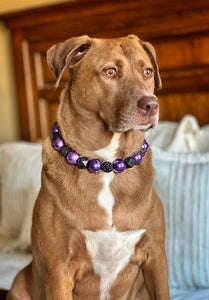 🟧 17" Slip On (Rainbow O-Ring)Chunky Mystic Purple Acrylic Bead Collar - PRE-MADE/FINAL SALE