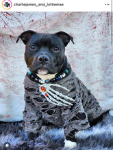 Load image into Gallery viewer, Haunted Nights Bead Collar