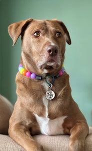 Electric Rainbow Bead Collar