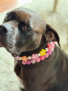 Spring Pink Bead Collar