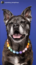 Load image into Gallery viewer, Pastel Rainbow Acrylic Bead Collar