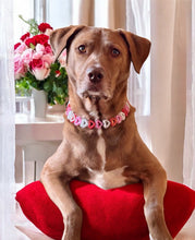 Load image into Gallery viewer, Electric Valentine Hearts Bead Collar
