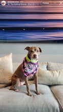 Load image into Gallery viewer, Neon Highlighter Yellow Triplo Acrylic Bead Collar