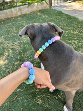 Load image into Gallery viewer, Pastel Rainbow Acrylic Bead Collar