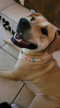 Load image into Gallery viewer, 🍬 Tutti Frutti Candy Bead Collar - SALE