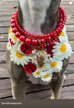 Load image into Gallery viewer, Lunar Red Triplo Acrylic Bead Collar