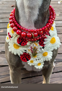 Lunar Red Triplo Acrylic Bead Collar