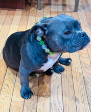 Load image into Gallery viewer, Shamrock Acrylic Bead Collar