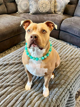 Load image into Gallery viewer, Sea Glass Acrylic Bead Collar