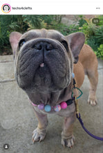 Load image into Gallery viewer, Daisies Glam 🌼 Bead Collar