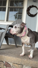 Load image into Gallery viewer, Pink Ghost Glam Bead Collar