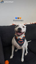 Load image into Gallery viewer, Chicago Bears NFL Inspired 🏈 Bead Collar