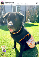 Load image into Gallery viewer, Autumn Leaves 🍂 Bead Collar