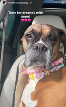 Load image into Gallery viewer, 🌼 Multicolor Daisies 🌼 Silicone Bead Collar
