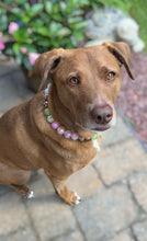 Load image into Gallery viewer, Fairy Woodland 🧚 Bead Collar