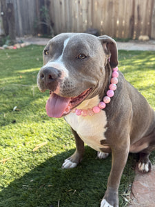 Pink Dream Bead Collar